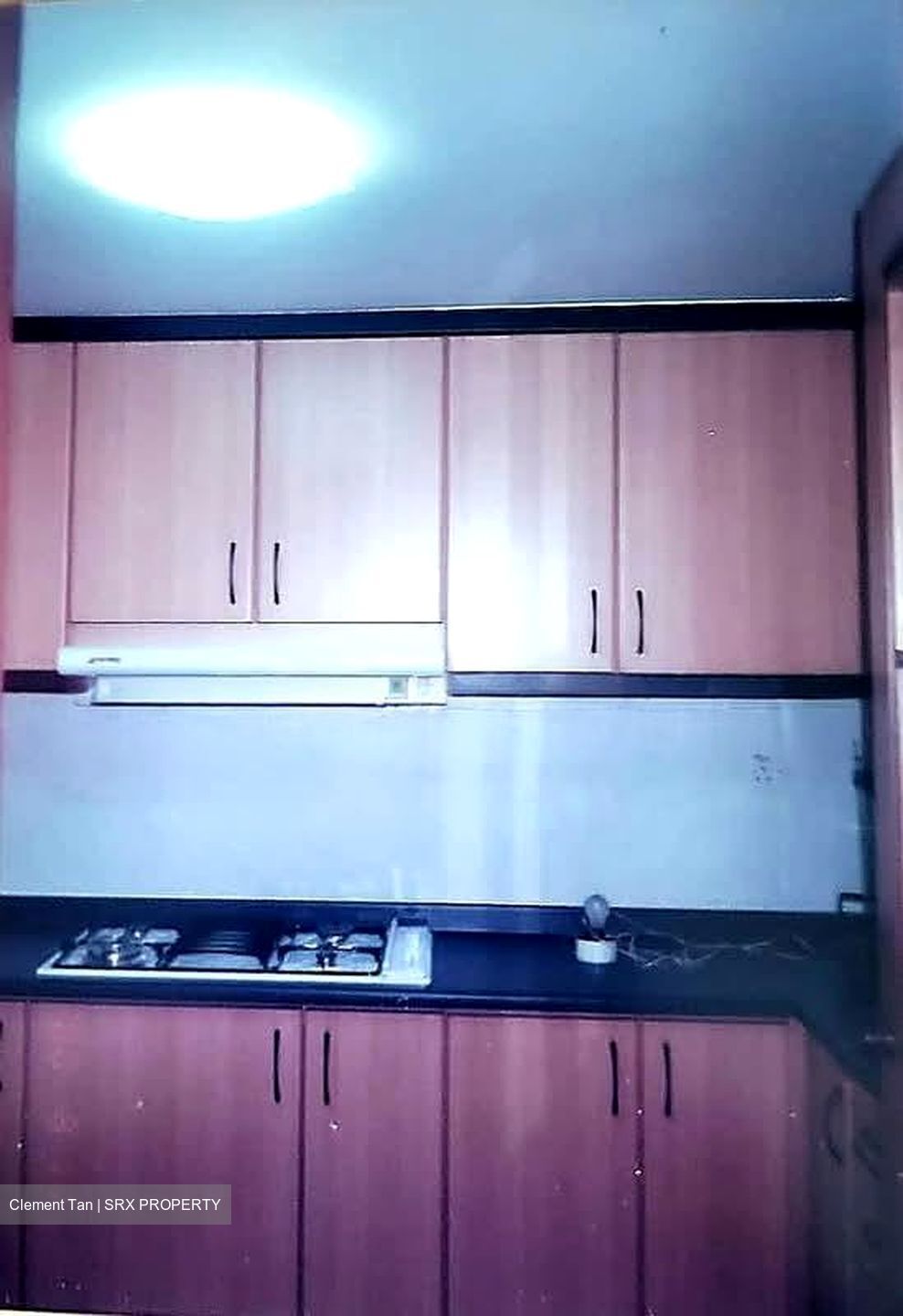 Palm Gardens (D23), Condominium #575946621
